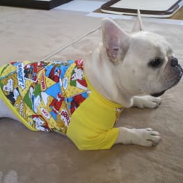 ぶん太さんの作品