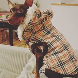 ちょこくろさんの作品