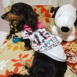 chocoさんの作品