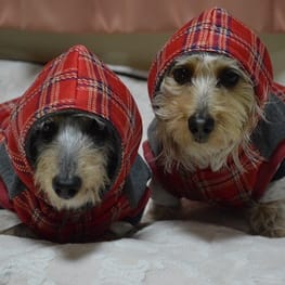 ひなはなさんの作品