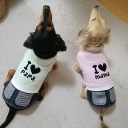 モコさんの作品