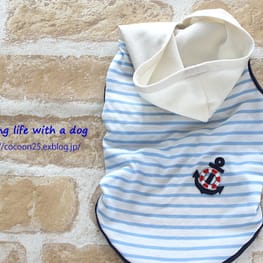 cocoonさんの作品