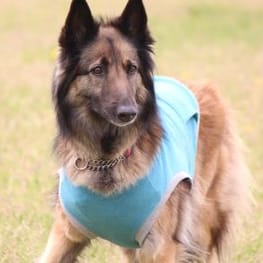 ちゃちゃまるさんの作品