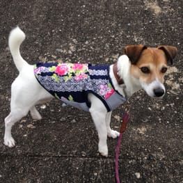 ★ADELE★さんの作品