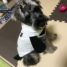 モクさんの作品