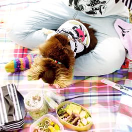 chicchi315さんの作品