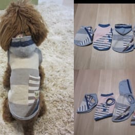 inainaさんの作品