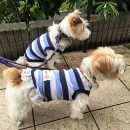 randymikioさんの作品