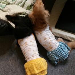 ちみさんの作品