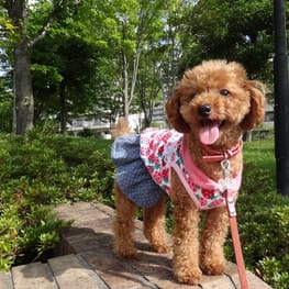 あみっちぃ。さんの作品