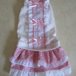 ぷーにゃんさんの作品