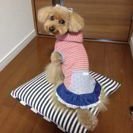 らくすさんの作品