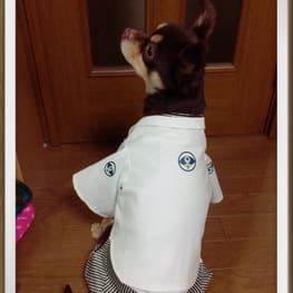 ゆきっぺさんの作品