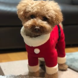 あいこっちさんの作品