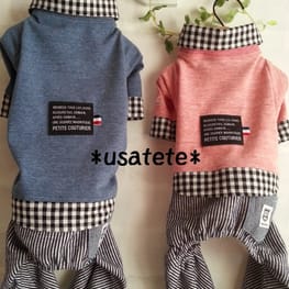 usakorinさんの作品