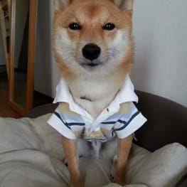 ナツ色さんの作品