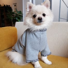 ベーシックラグランTシャツ / millacra / 愛犬のための犬服、ペット服 