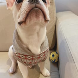 おにくさんの作品