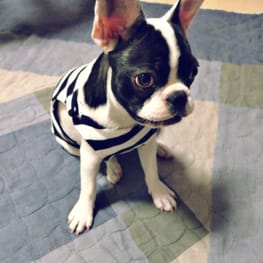 makiron0207さんの作品