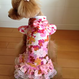 らくすさんの作品