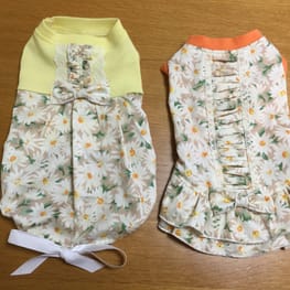 か〜ちゃさんの作品