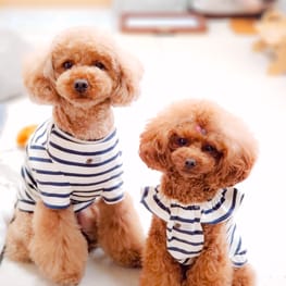 C&L.mamaさんの作品