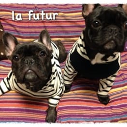 boom3tanさんの作品