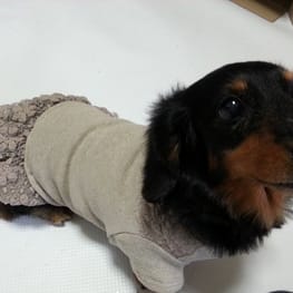 ライさんの作品