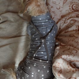 ひなはなさんの作品