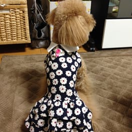 らくすさんの作品