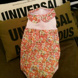 ドリコさんの作品