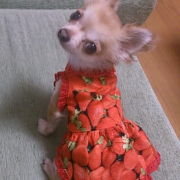 キャサリンさんの作品