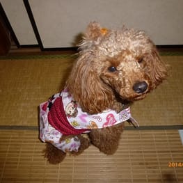 ちみこママさんの作品