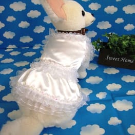 はなぴょんさんの作品