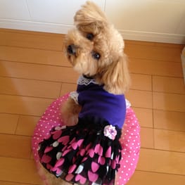 らくすさんの作品