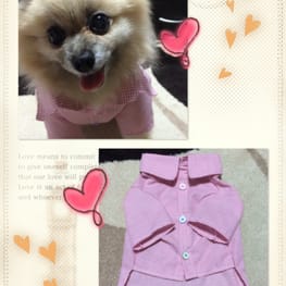 シーナさんの作品