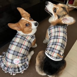 ゆめ元さんの作品