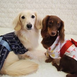 mamehanasoraさんの作品