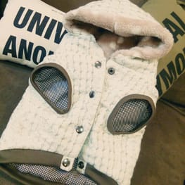 ドリコさんの作品