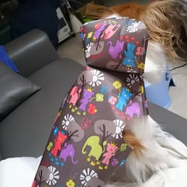 FEIFEIさんの作品