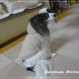 ミントママさんの作品