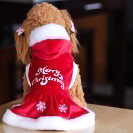 Princessmiyaさんの作品