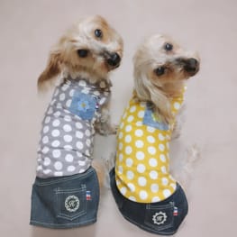 ひなはなさんの作品