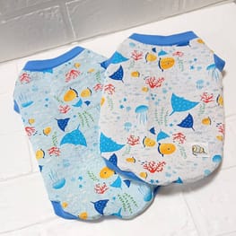 cmarufukuさんの作品