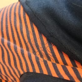 ウィンさんの作品