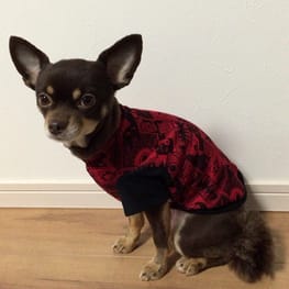 ゆずさんの作品