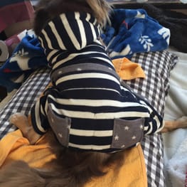 chicchi315さんの作品