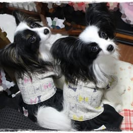 依音さんの作品