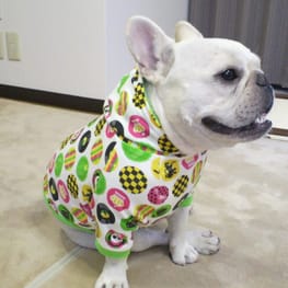 ぶん太さんの作品