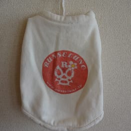 古都さんの作品